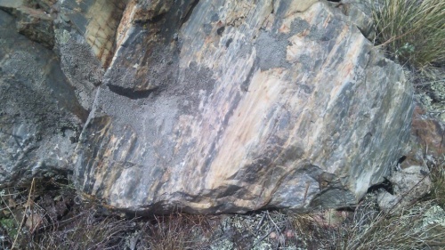 Гигантские зелёные валуны для ландшафтного дизайна весом более 5 тонн купить в Гремячинске