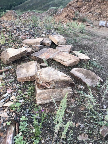 Пошаговая дорожка из плит златолит кора дерева купить в Гремячинске